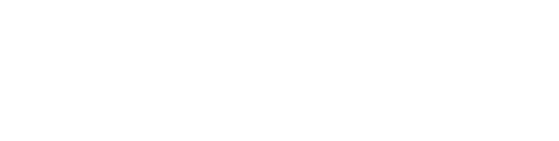CMMC LOGO large