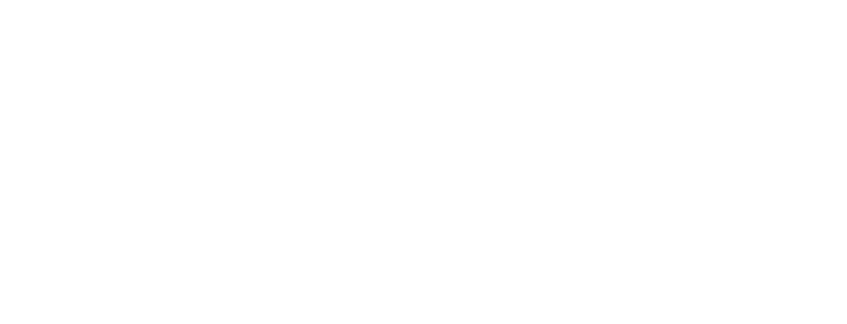 NAMI logo