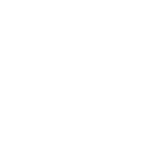 smoothie king logo