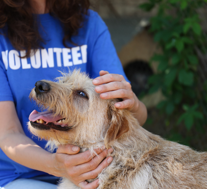 Copy of Graphics for Slide Decks and Content